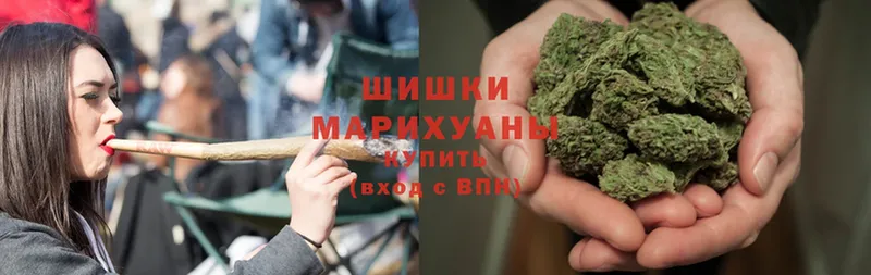 купить закладку  Гусиноозёрск  MEGA ссылки  Бошки Шишки Ganja 